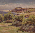 landscape at the beach