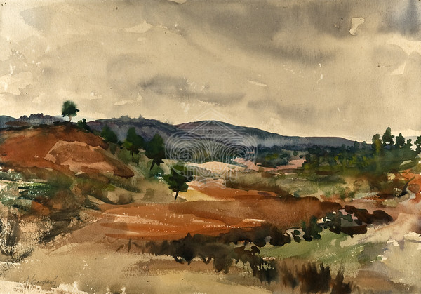 Landscape