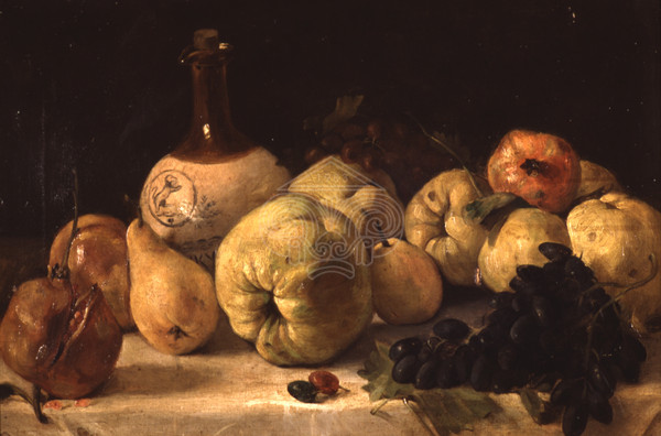 Still Life