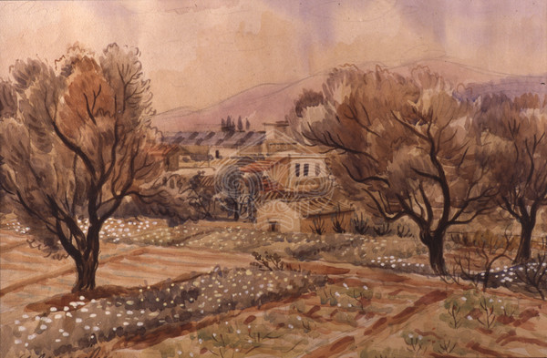 Πατήσια. Ανθόκηπος