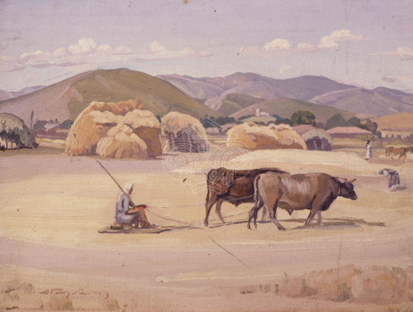 Threshing Floor