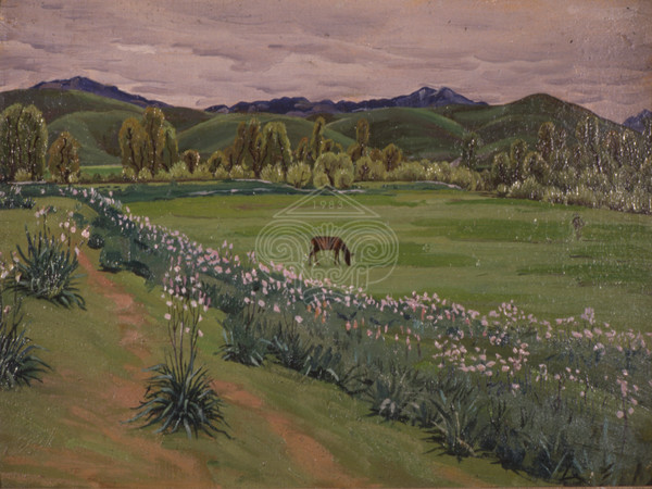 Meadow with daffodils