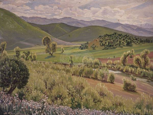 Spring Landscape