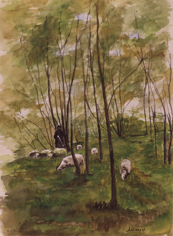 Woman with sheep