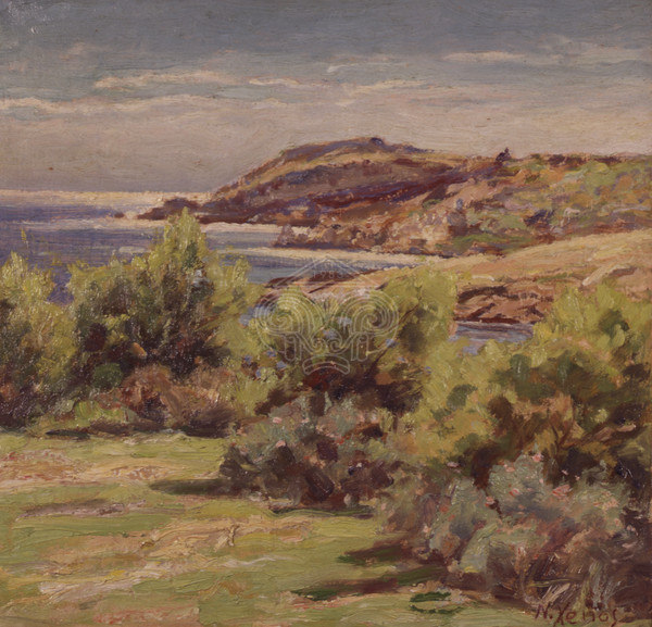 landscape at the beach