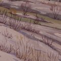 Winter Landscape
