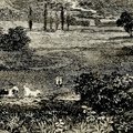 Tempi