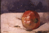 The pomegranate