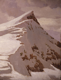 The Skolio Peak