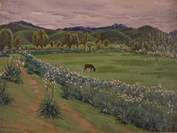 Meadow with daffodils