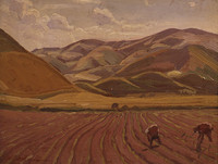 Tobacco Field